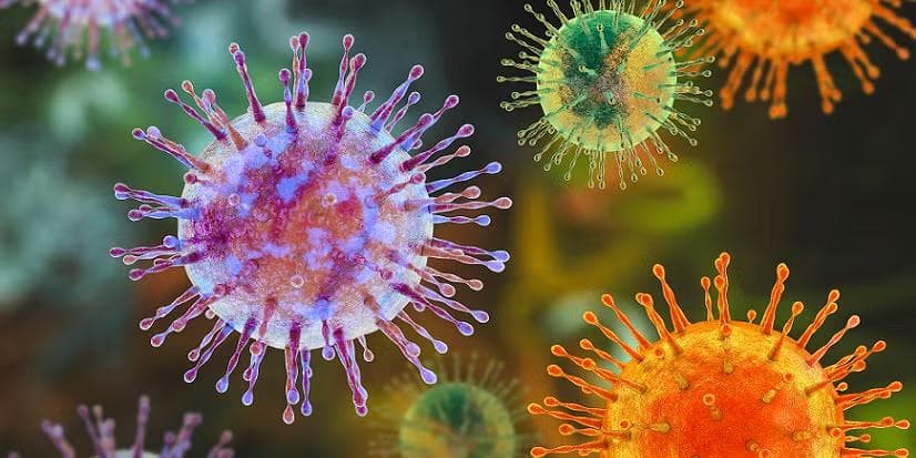 4 Varian Hantavirus Disebut Bisa Picu Gangguan Paru dan Jantung